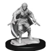 Half-Elf Female Rogue (Wave 14) Dungeons & Dragons Nolzurs Marvelous Unpainted Miniature Figur