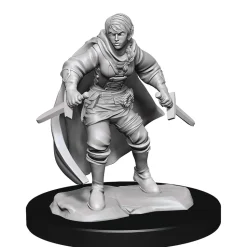 Half-Elf Female Rogue (Wave 14) Dungeons & Dragons Nolzurs Marvelous Unpainted Miniature Figur