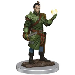 Half-Elf Male Bard (Wave 7) Icons of the Realms Premium Painted Miniatures Figur