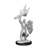 Half-Elf Male Paladin (Wave 14) Dungeons & Dragons Nolzurs Marvelous Unpainted Miniature Figur