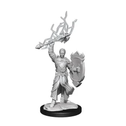 Half-Elf Male Paladin (Wave 14) Dungeons & Dragons Nolzurs Marvelous Unpainted Miniature Figur