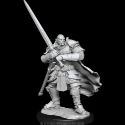Half-Orc Male Paladin (Wave 15) Dungeons & Dragons Nolzurs Marvelous Unpainted Miniature Figur