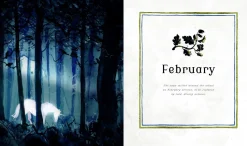 Harry Potter - A Magical Year: The Illustrations of Jim Kay