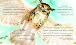 Harry Potter - A Magical Year: The Illustrations of Jim Kay
