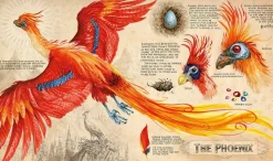 Harry Potter and the Chamber of Secrets: Illustrated Edition