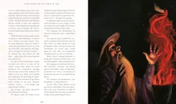 Harry Potter and the Goblet of Fire : Illustrated Edition