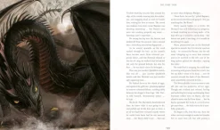 Harry Potter and the Goblet of Fire : Illustrated Edition