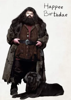 Harry Potter: Hagrid's Cake Pop-Up Card
