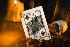 Harry Potter Kortstokk Collector's Box Set