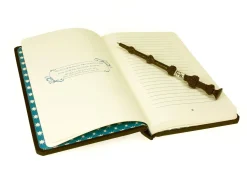 Harry Potter Pensieve Memory Set