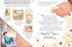 Harry Potter: The must-have Christmas stocking filler for Potter fans!