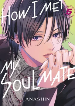 How I Met My Soulmate 5