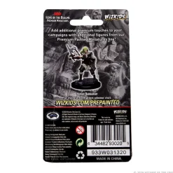 Human Female Barbarian Icons of the Realms Premium Painted Miniatures Figur