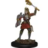 Human Female Cleric (Wave 6) Icons of the Realms Premium Painted Miniatures Figur
