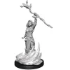 Human Female Druid (Wave 14) Dungeons & Dragons Nolzurs Marvelous Unpainted Miniature Figur