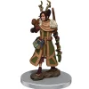 Human Female Druid (Wave 7) Icons of the Realms Premium Painted Miniatures Figur