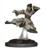 Human Female Monk (Wave 6) Icons of the Realms Premium Painted Miniatures Figur