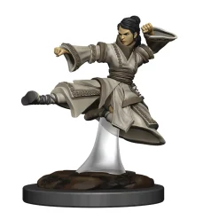 Human Female Monk (Wave 6) Icons of the Realms Premium Painted Miniatures Figur