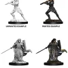 Human Female Paladin (Wave 10) Dungeons & Dragons Nolzurs Marvelous Unpainted Miniature Figur