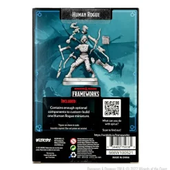 Human Female Rogue (Wave 1) Dungeons & Dragons Frameworks Figur