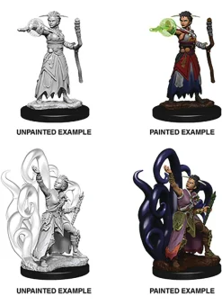 Human Female Warlock (Wave 10) Dungeons & Dragons Nolzurs Marvelous Unpainted Miniature Figur