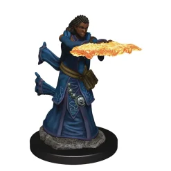 Human Female Wizard (Wave 5) Icons of the Realms Premium Painted Miniatures Figur
