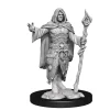Human Male Druid (Wave 14) Dungeons & Dragons Nolzurs Marvelous Unpainted Miniature Figur