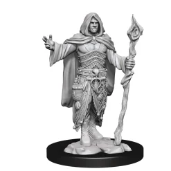 Human Male Druid (Wave 14) Dungeons & Dragons Nolzurs Marvelous Unpainted Miniature Figur