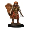 Human Male Druid (Wave 4) Icons of the Realms Premium Painted Miniatures Figur