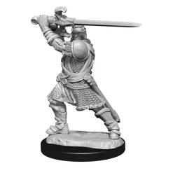 Human Male Paladin (Wave 14) Dungeons & Dragons Nolzurs Marvelous Unpainted Miniature Figur