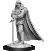 Human Male Paladin (Wave 13) Dungeons & Dragons Nolzurs Marvelous Unpainted Miniature Figur