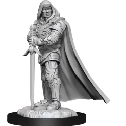 Human Male Paladin (Wave 13) Dungeons & Dragons Nolzurs Marvelous Unpainted Miniature Figur