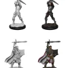 Human Male Paladin (Wave 12) Dungeons & Dragons Nolzurs Marvelous Unpainted Miniature Figur