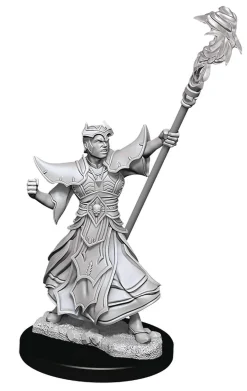 Human Male Sorcerer (Wave 11) Pathfinder Deep Cuts Unpainted Miniature Figur