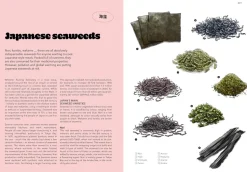 Japan: A Culinary Travel Diary