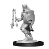 Kalashtar Female Cleric (Wave 14) Dungeons & Dragons Nolzurs Marvelous Unpainted Miniature Figur