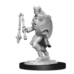 Kalashtar Female Cleric (Wave 14) Dungeons & Dragons Nolzurs Marvelous Unpainted Miniature Figur
