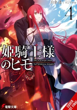 Kept Man of Princess Knight Vol. 04 (Novel)