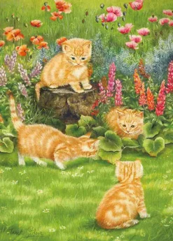 Kitten and the Sunny Garden Puzzle (500)