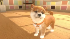 Little Friends: Dogs and Cats (Switch)