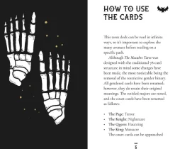 Macabre Tarot Pocket Tin Edition