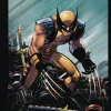 Marvels Deadpool & Wolverine Illustrated Hist Box Set