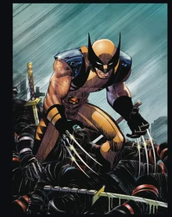 Marvels Deadpool & Wolverine Illustrated Hist Box Set