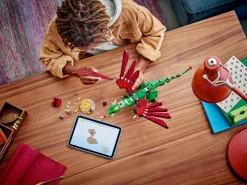 Middelalderdrage (31161)