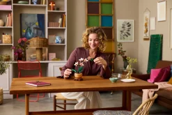 Miniatyrorkidé (10343)