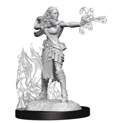 Multiclass Warlock / Sorcerer Female (Wave 13) Dungeons & Dragons Nolzurs Marvelous Unpainted Miniature Figur