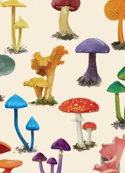 Mushrooms of the Wild: 54 playing cards