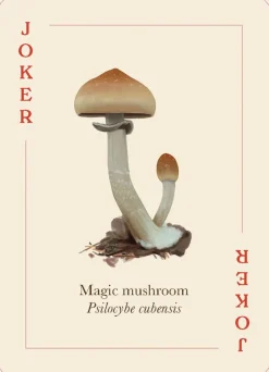 Mushrooms of the Wild: 54 playing cards