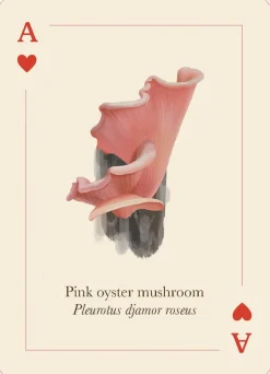 Mushrooms of the Wild: 54 playing cards