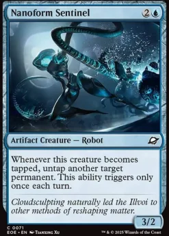 Nanoform Sentinel (Enkeltkort)